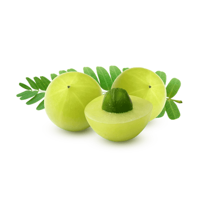 Phyllanthus Emblica 